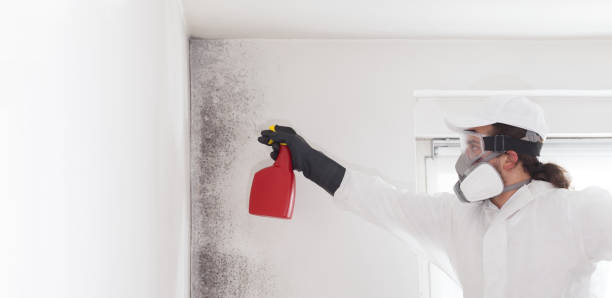 Best Crawl Space Mold Removal  in Westwood Shores, TX